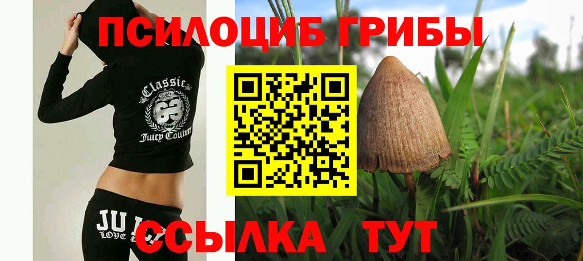 Галлюциногенные грибы мицелий Усть-Джегута