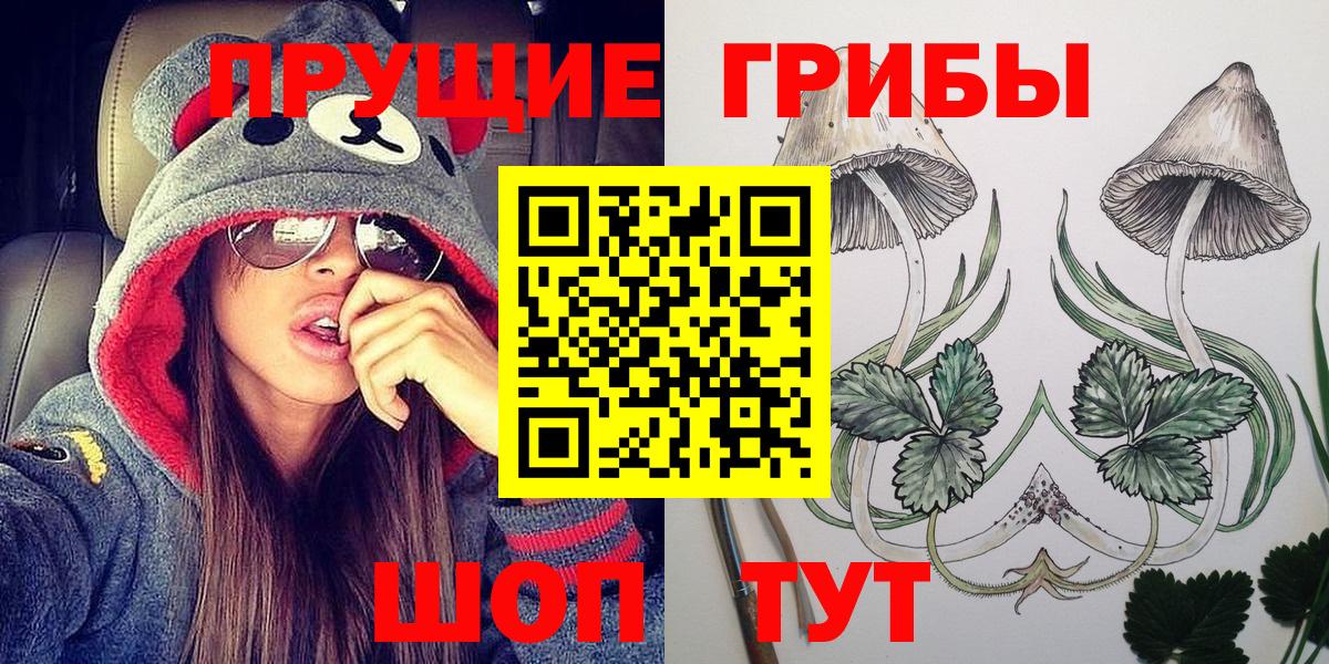 Псилоцибиновые грибы GOLDEN TEACHER  где продают   Усть-Джегута  Вход с VPN 